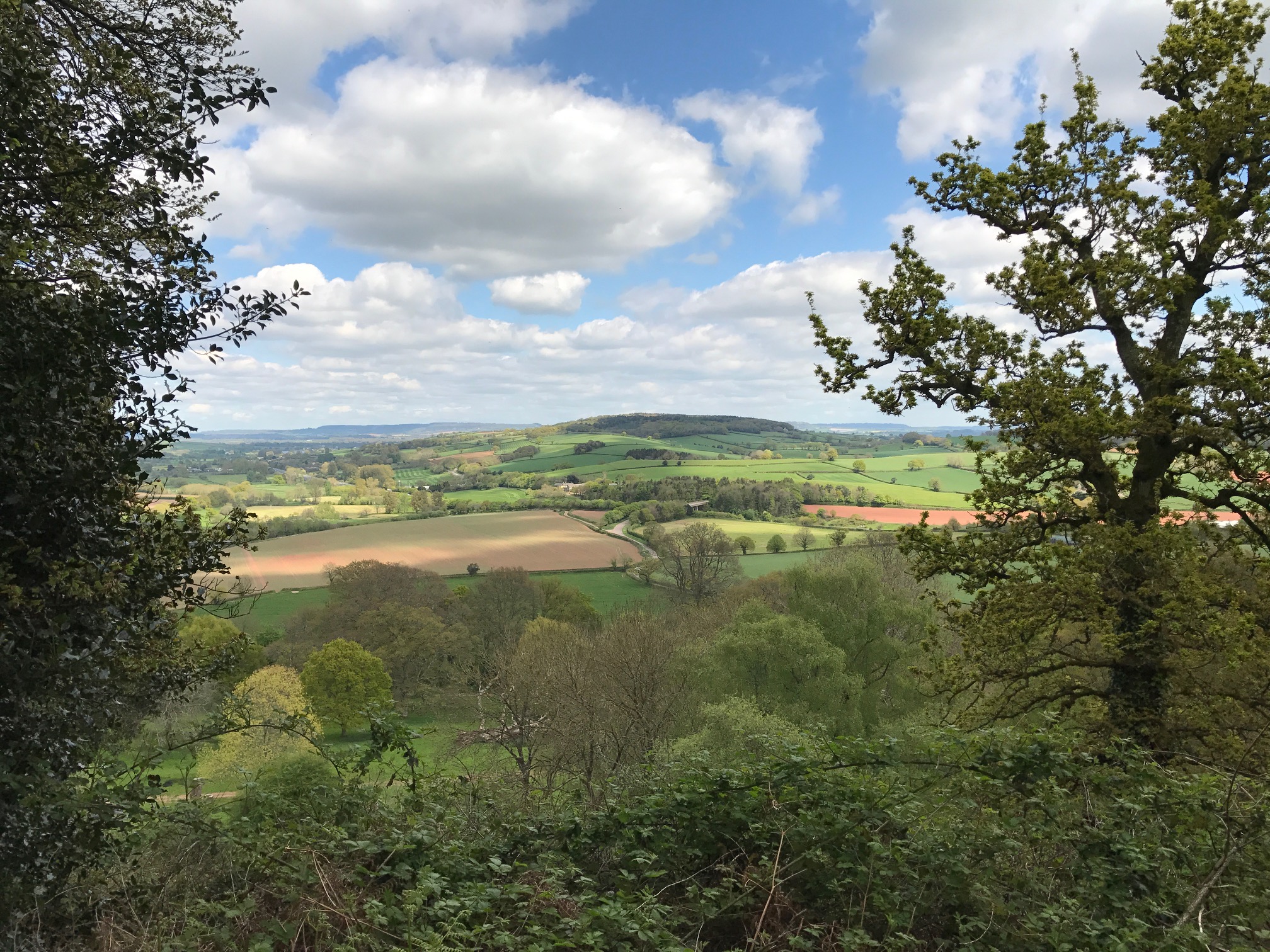 Killerton - Phyonis Limited